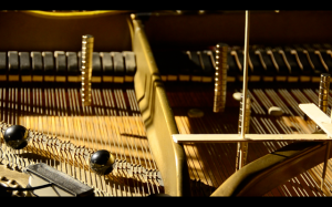 preparations for dissident futures improv with pianist myra melford